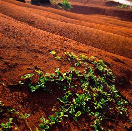 Xbox+B社发布会：北京时间6月13日凌晨1点开始